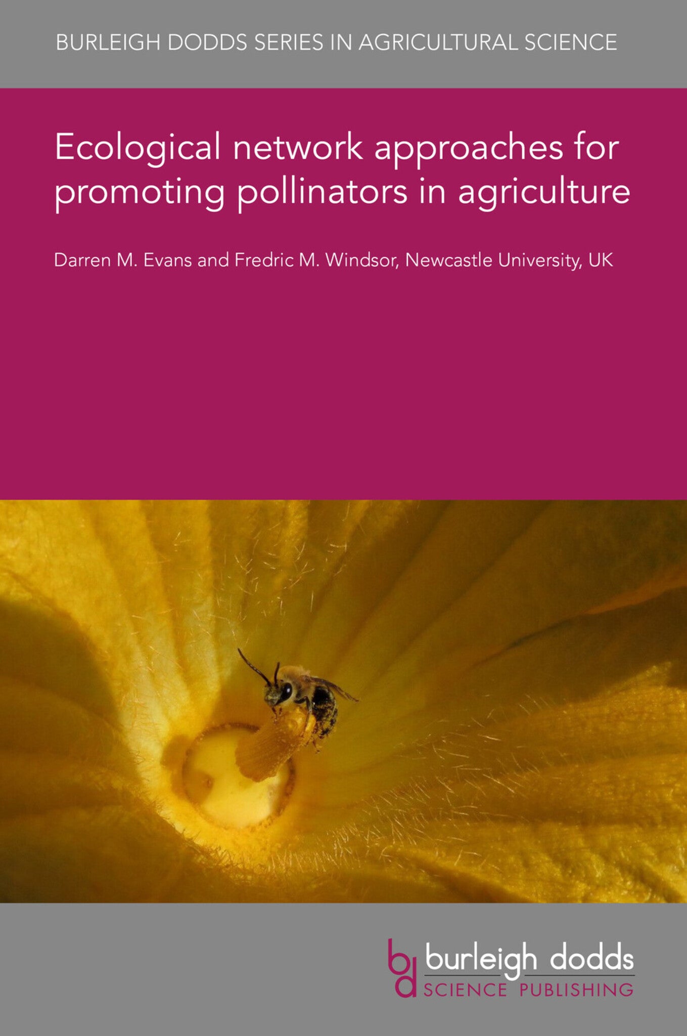 Cover image for Ecological network approaches for promoting pollinators in agriculture ISBN 9781801467551